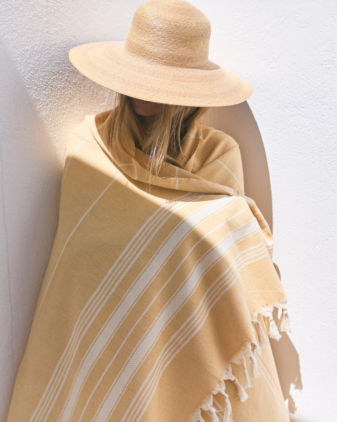 Ankara amarillo - familiar